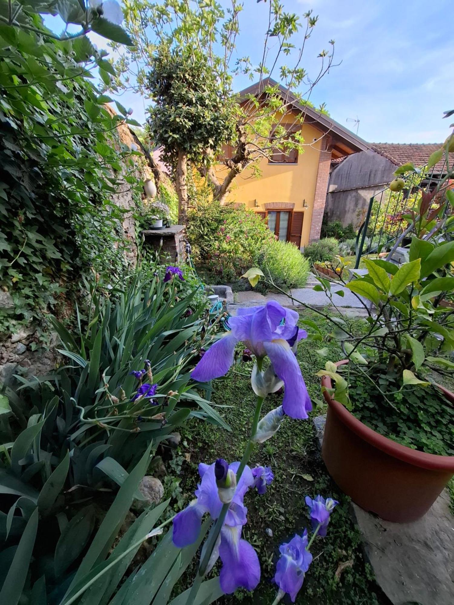 Casa Lavanda Rivoli  Extérieur photo